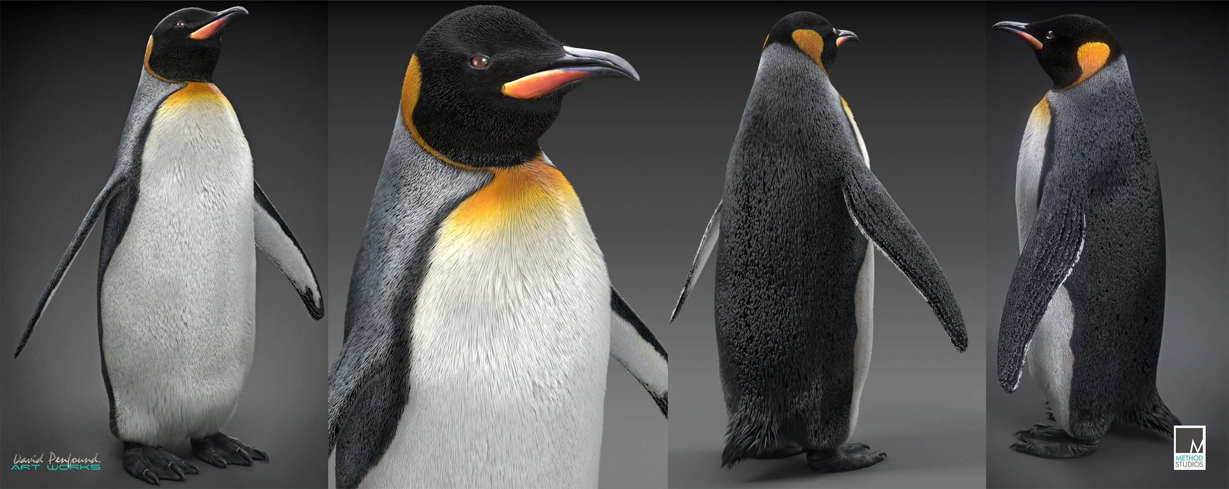 penguin wips.jpg